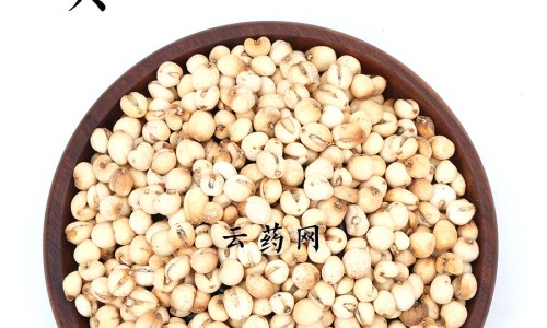 蛇胆陈皮散的适应症-【陈皮蛇胆散的功效与作用】陈皮蛇胆散的功效与作用 - 陈皮蛇胆散图片网